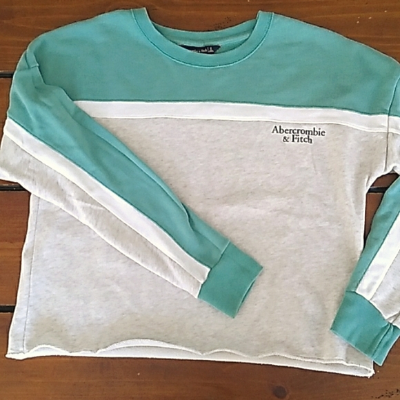 Abercrombie & Fitch Tops - ~ Ambercrombie & Fitch Crop Sweatshirt Sz S Gray Crew Neck
